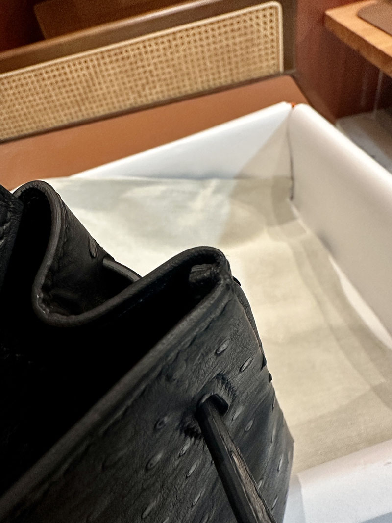 エルメス HERMES バーキン25 黒 ブラック オーストリッチ ゴールド金具 2412883 バーキン 定価 パリ - 画像 (7)