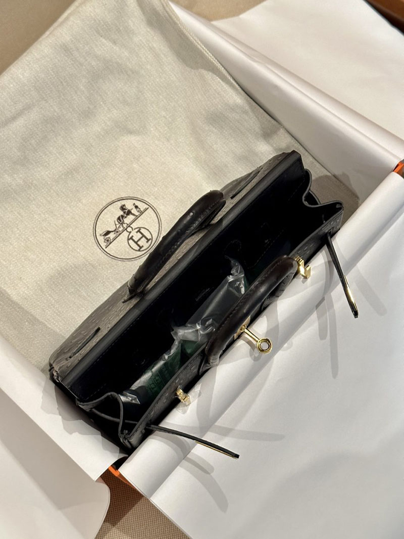 エルメス HERMES バーキン25 黒 ブラック オーストリッチ ゴールド金具 2412883 バーキン 定価 パリ - 画像 (6)