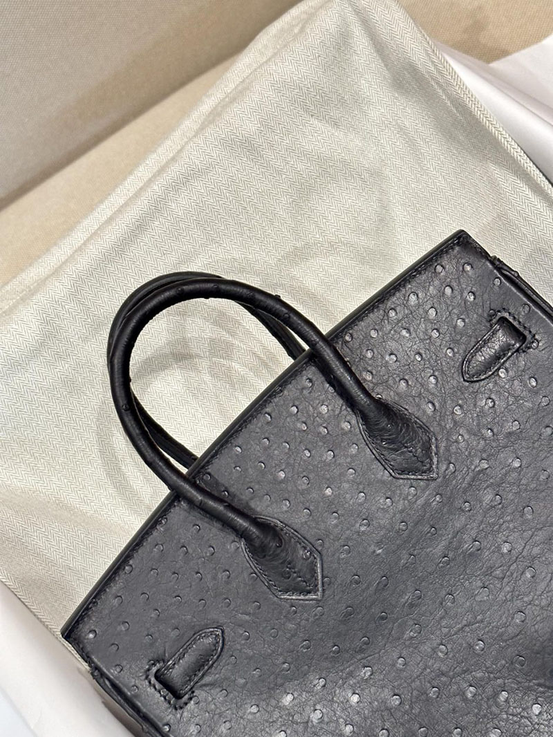 エルメス HERMES バーキン25 黒 ブラック オーストリッチ ゴールド金具 2412883 バーキン 定価 パリ - 画像 (5)