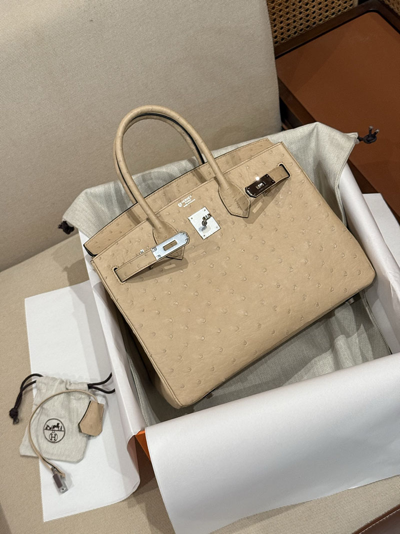 エルメス バーキン25 定価 HERMES バーキン25 チャイ オーストリッチ シルバー金具 2627489 エルメス専門店 おすすめ - 画像 (3)