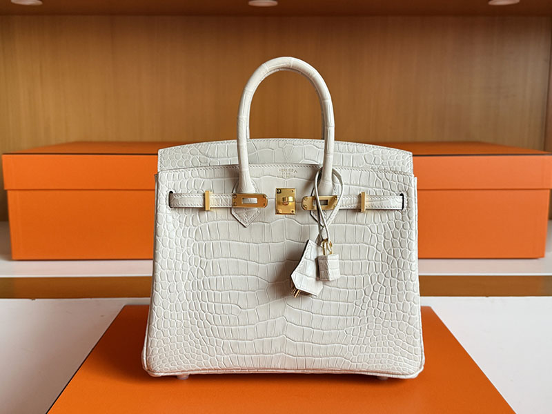 エルメスクロコダイルバッグ HERMES バーキン25 ベトン クロコダイル ポロサスマット ゴールド金具 2627851 エルメス 新作バッグ - 画像 (8)