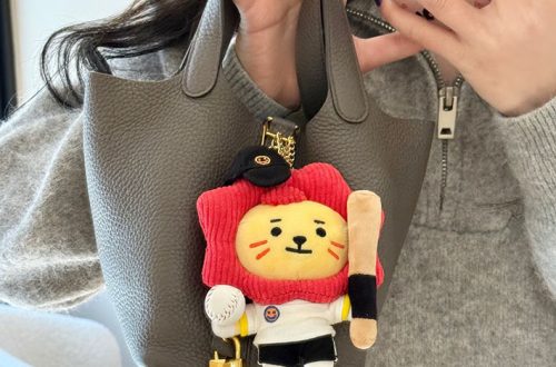 ピコタン風バッグ 本革